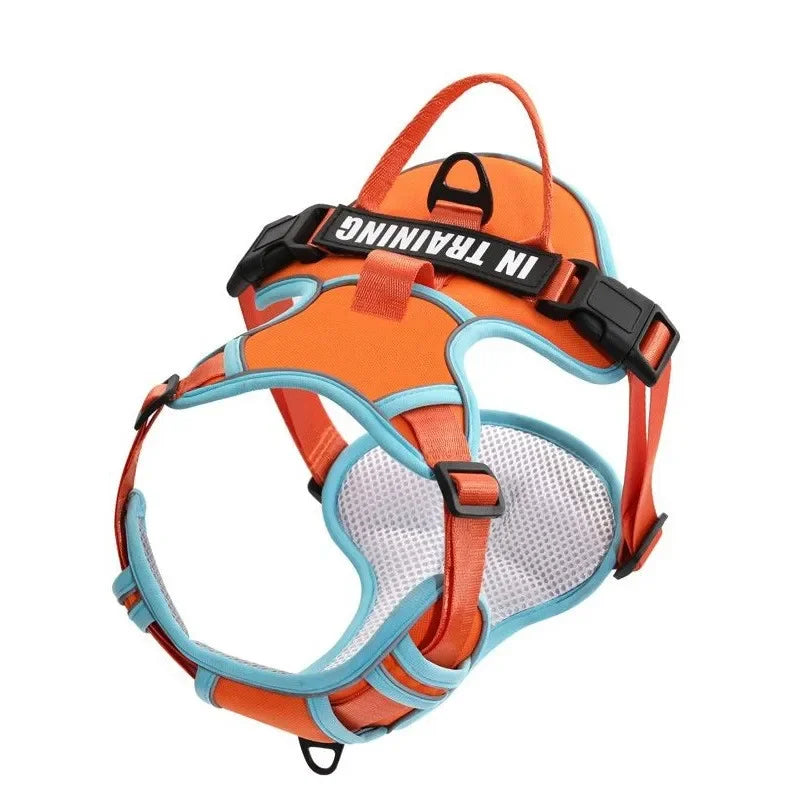 Personalised Reflective Nylon Harness (Pet Name & Number)
