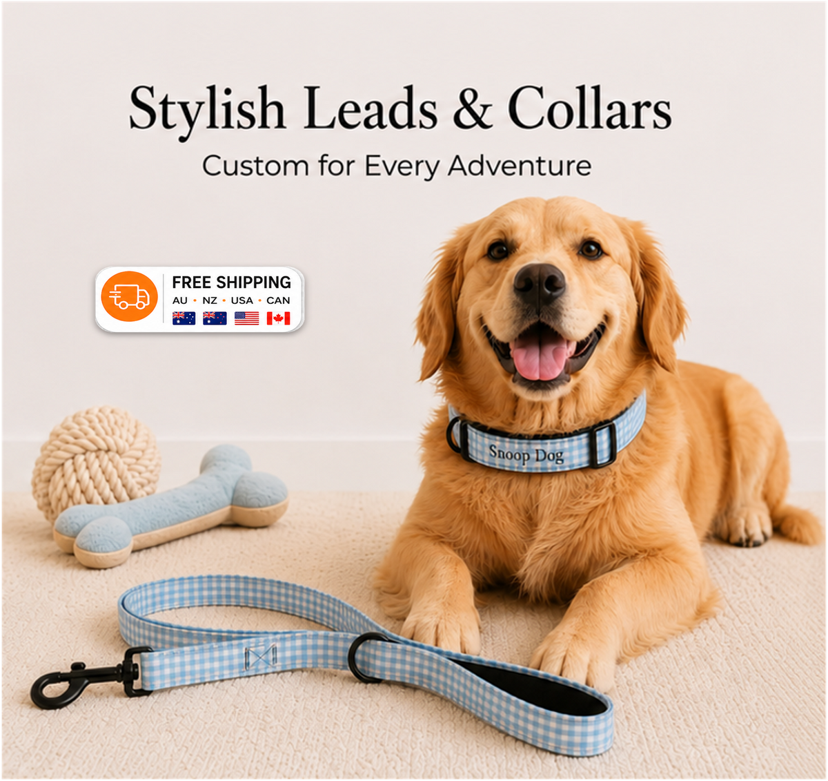 Personalised Pet Collars & Leads