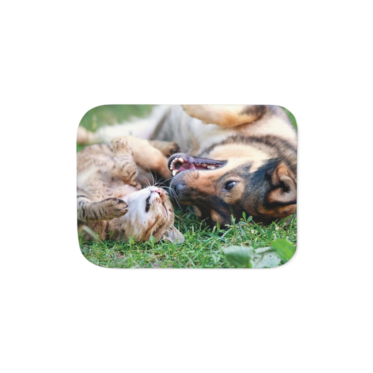 Personalised Sherpa Blanket – Small Ultra Soft Custom Pet Blanket (Pet Photo)