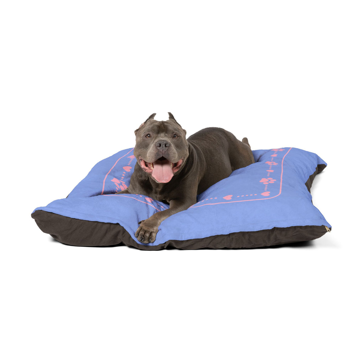 Personalised Pet Bed (Dog or Cat) with Name – Custom Pet Bed (Soft Blue with Pink Paw & Heart Border Design)