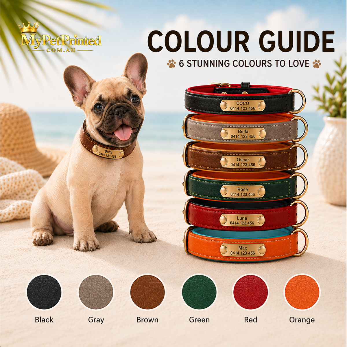 Personalised Premium Classic Leather Pet Collar (Pet Name & Phone)
