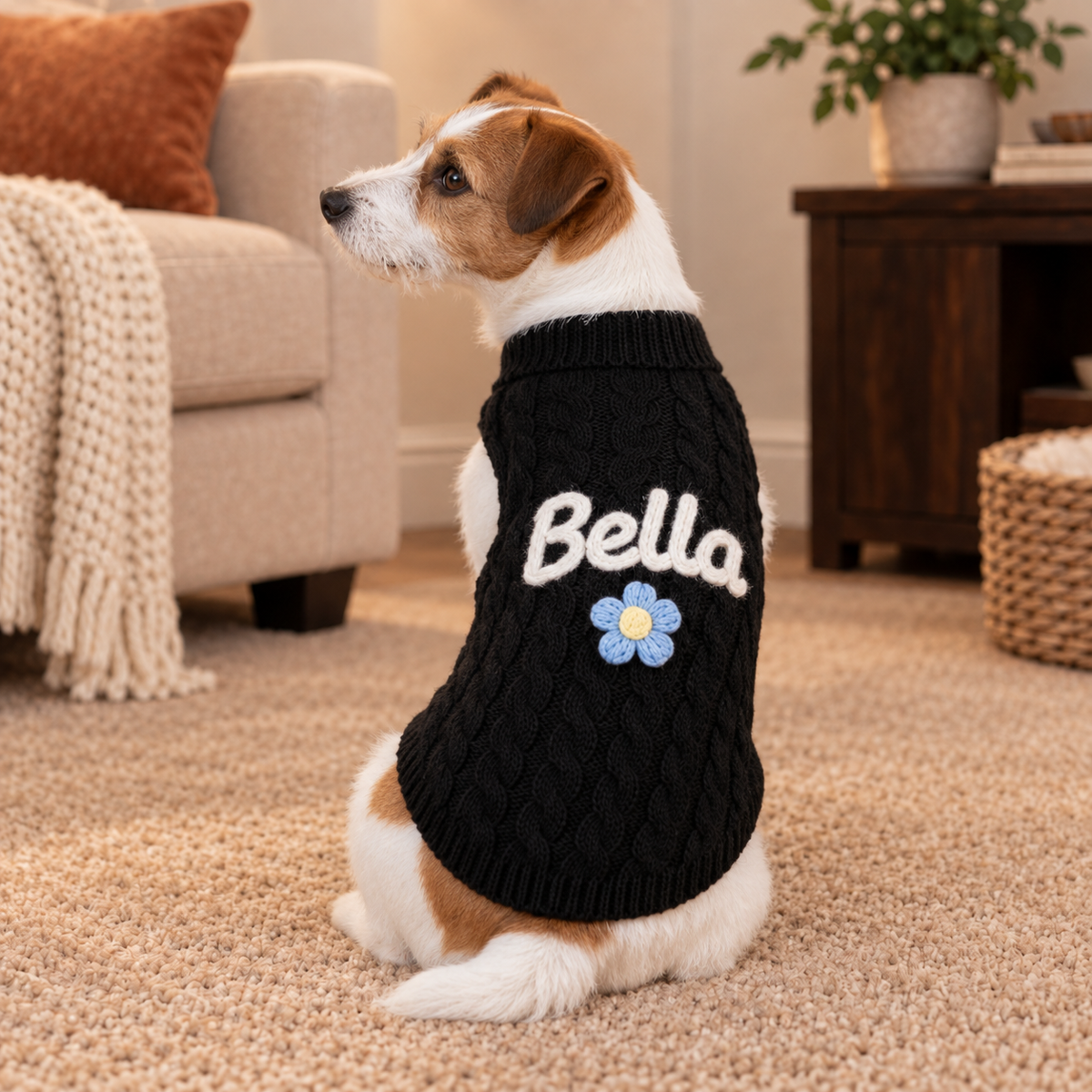Personalised Knitted Pet Sweater (Pet Name)