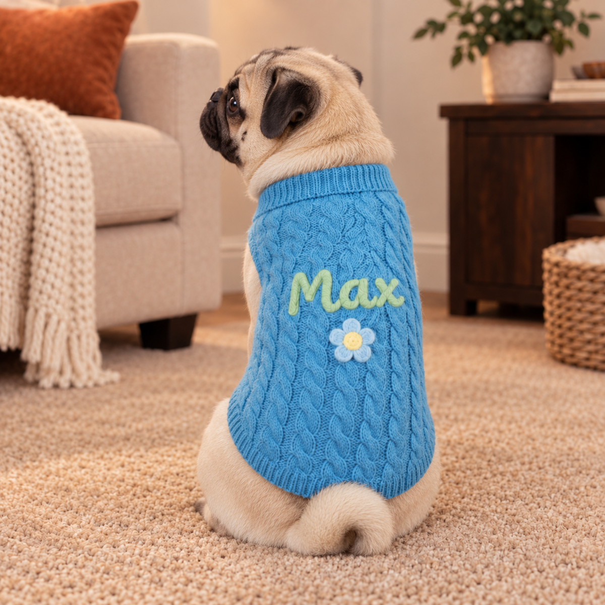 Personalised Knitted Pet Sweater (Pet Name)