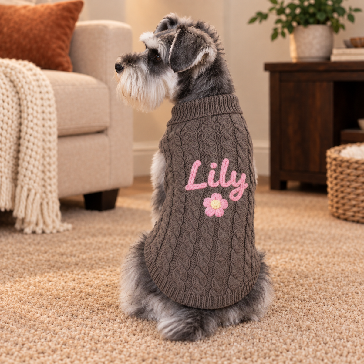 Personalised Knitted Pet Sweater (Pet Name)