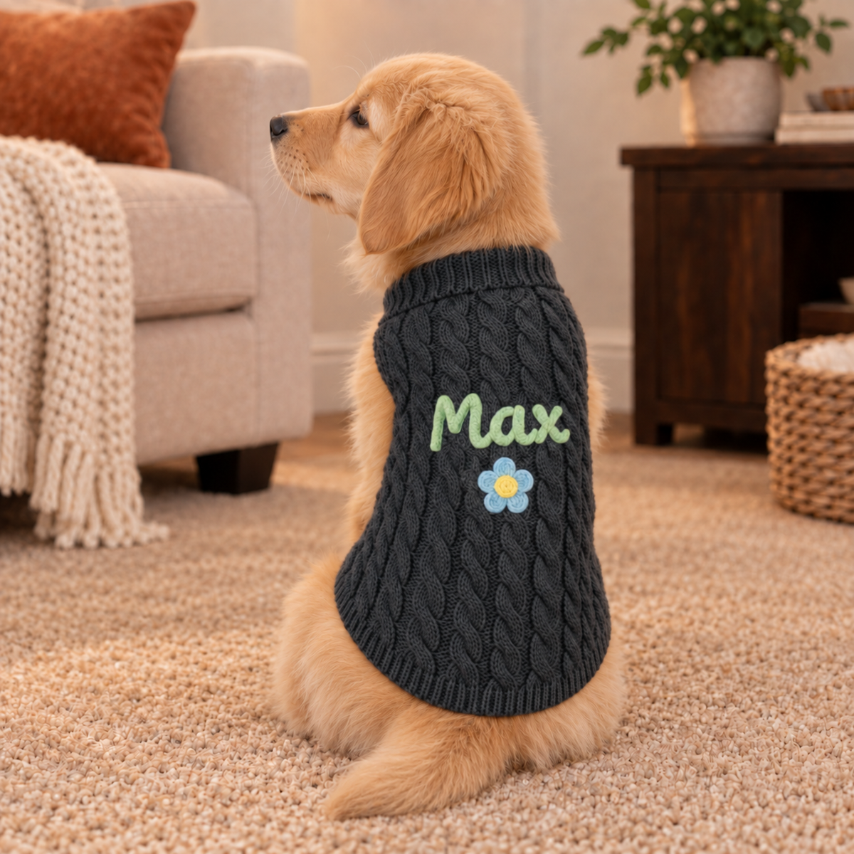 Personalised Knitted Pet Sweater (Pet Name)