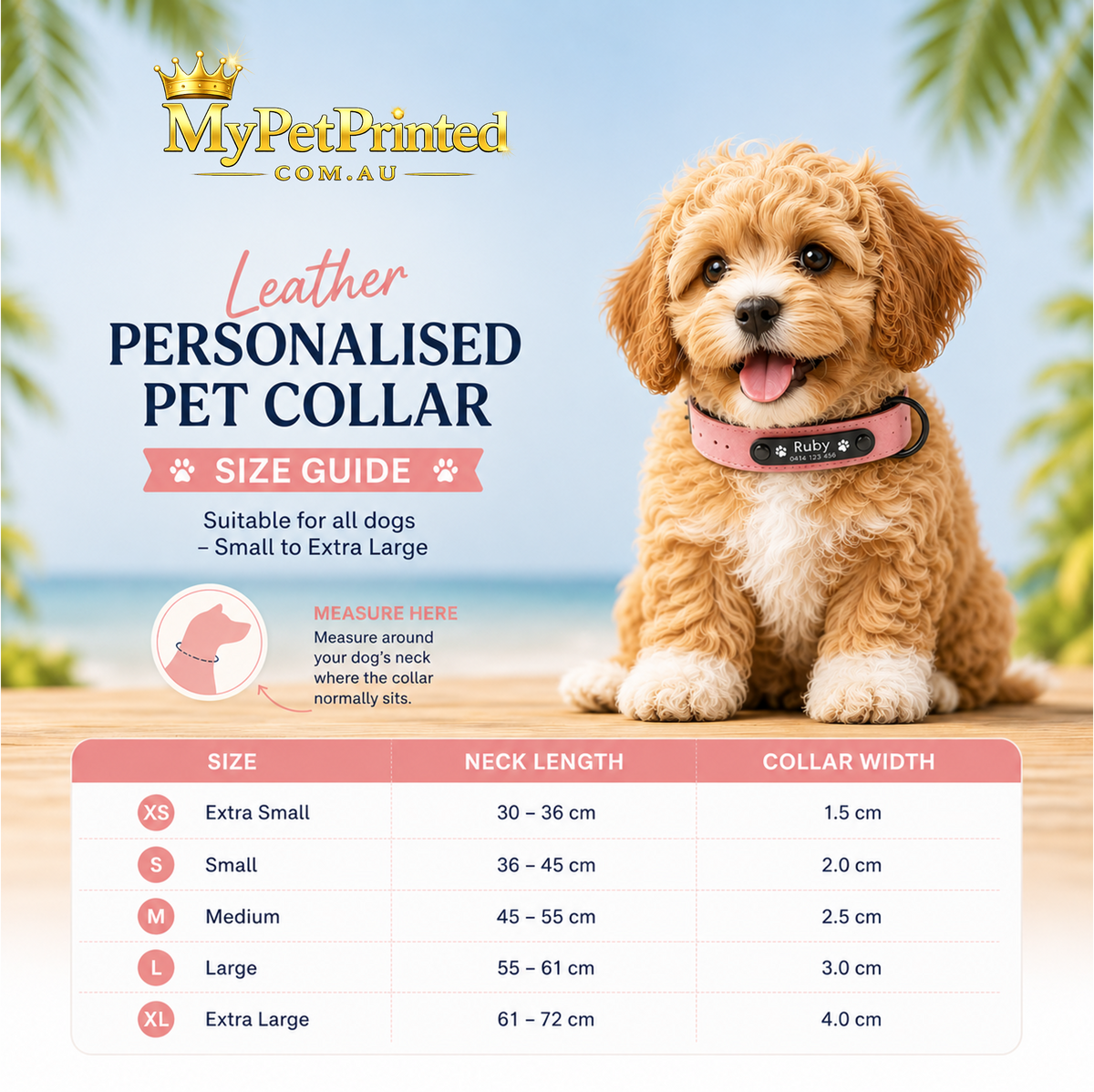 Personalised Premium Leather Pet Collar (Pet Name & Phone)