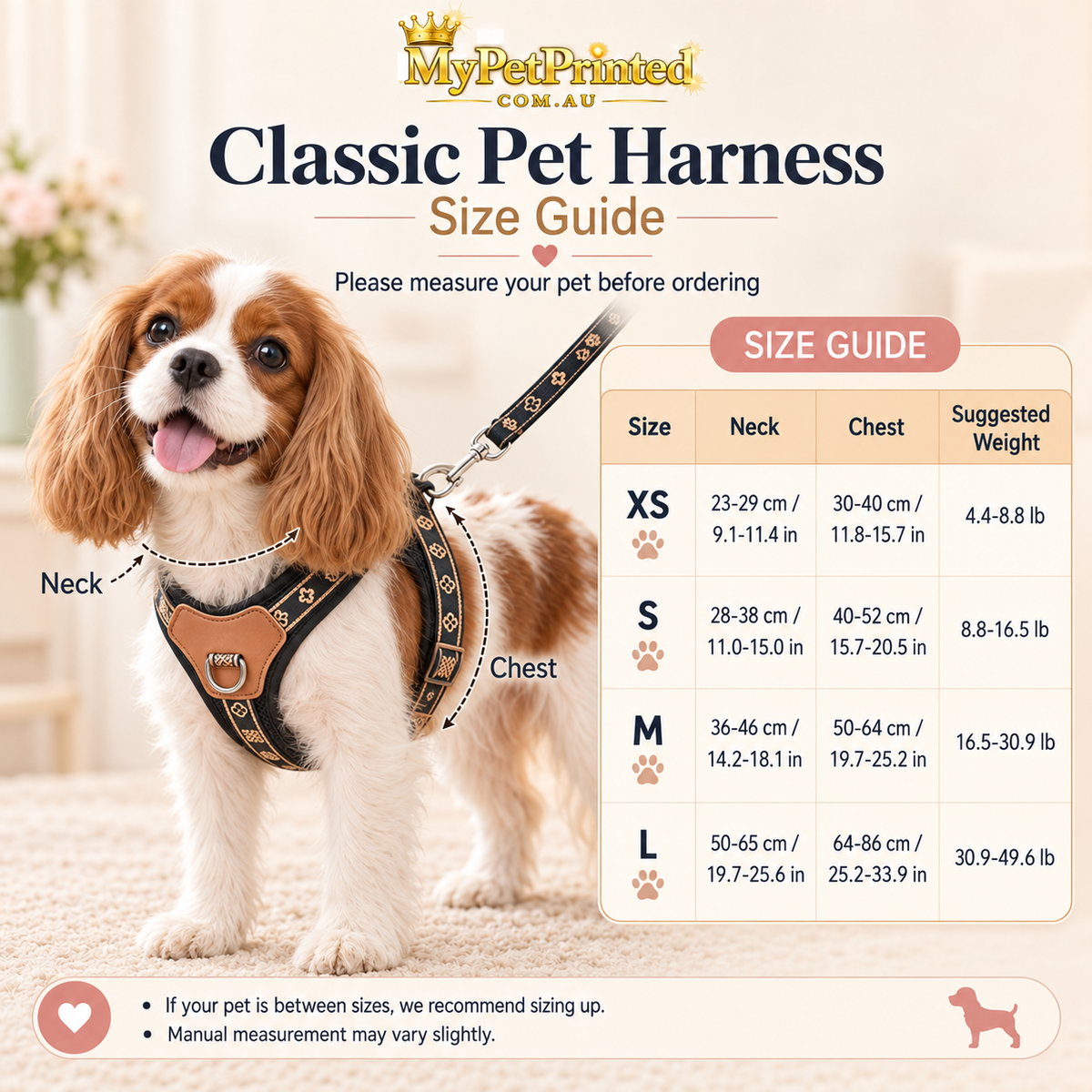 Personalised Premium Leather Dog Harness (Pet Name)