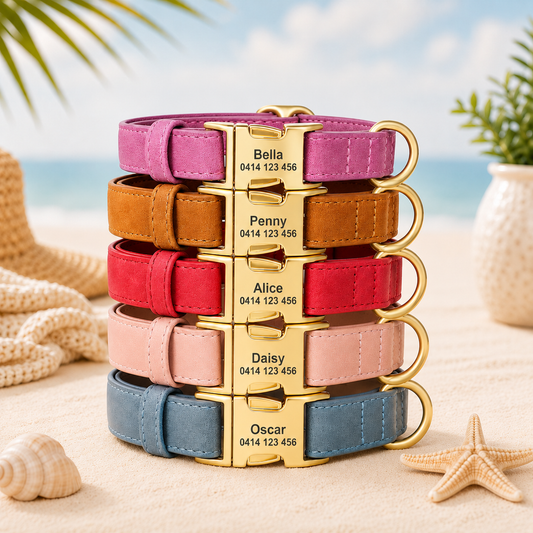 Personalised Premium Leather Pet Collar, Gold Clasp (Pet Name & Phone)