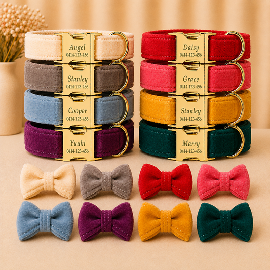 Personalised Collar & Bow with Engraved Gold Buckle (Pet Name & Phone)