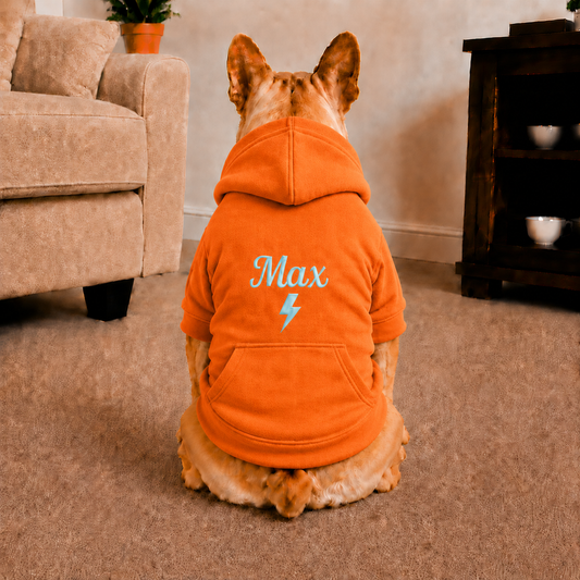 Pet Hoodie with Personalised Embroidery (Baby Blue Name & Thunder Bolt)