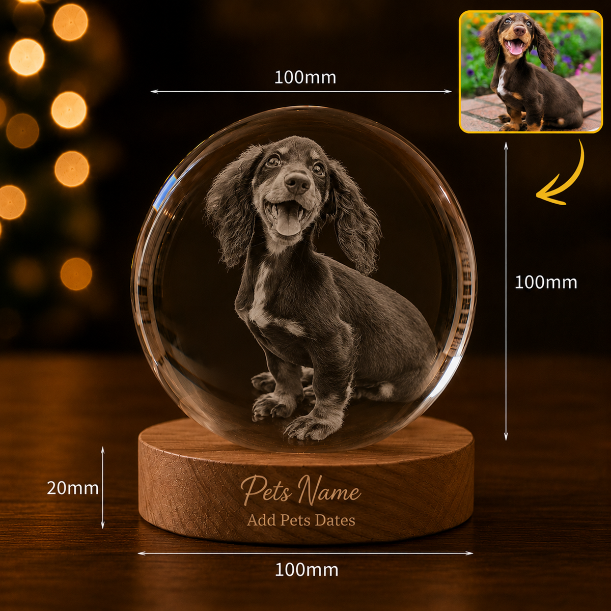 Personalised Crystal Ball Pet Memorial (Pet Photo & Name & Dates)