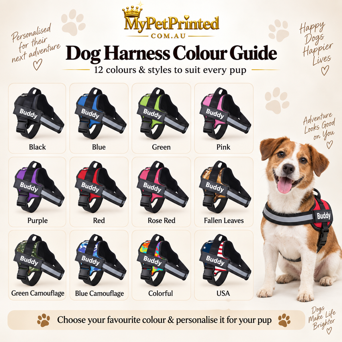 Personalised Reflective Dog Harness  (Pet Name & Phone)