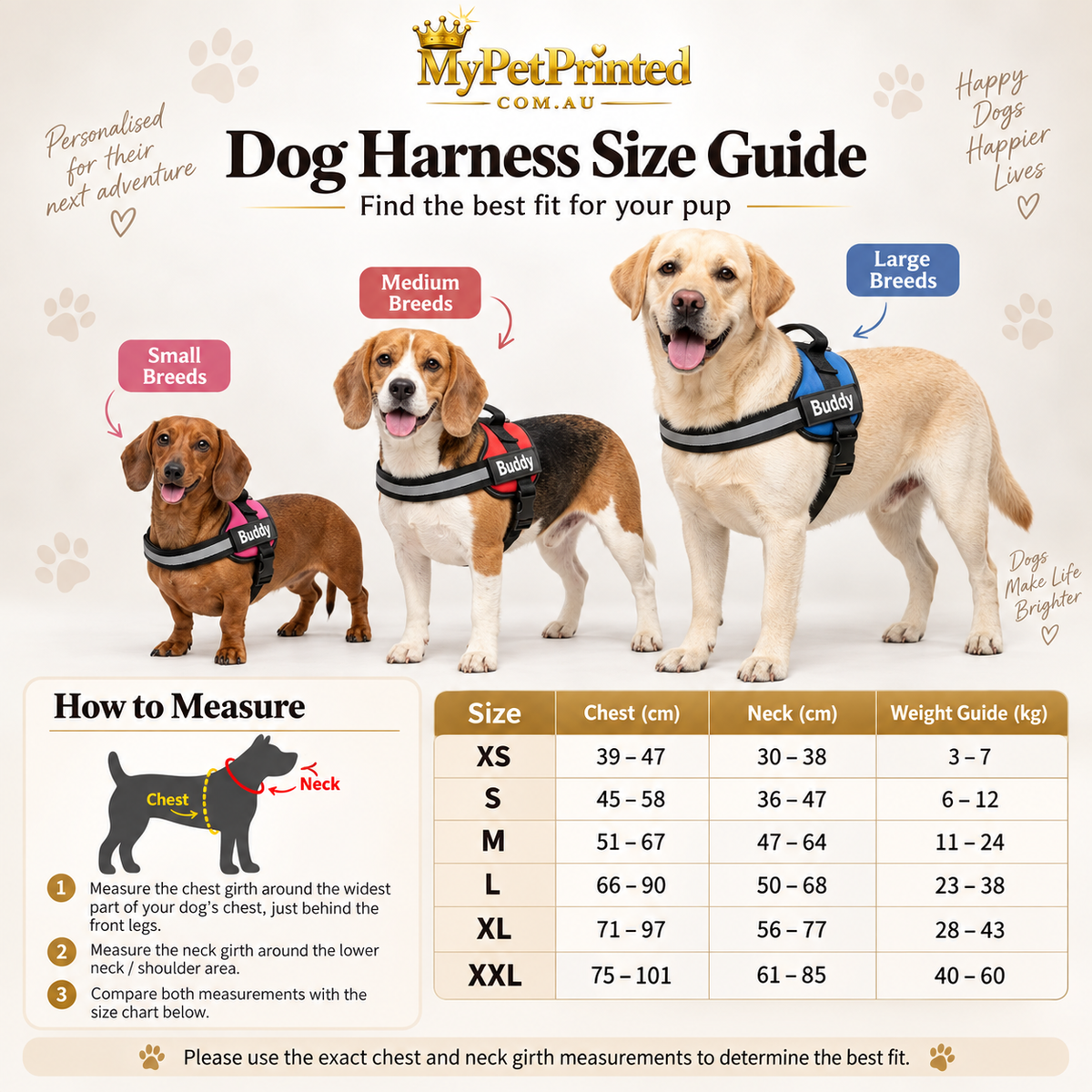 Personalised Reflective Dog Harness  (Pet Name & Phone)