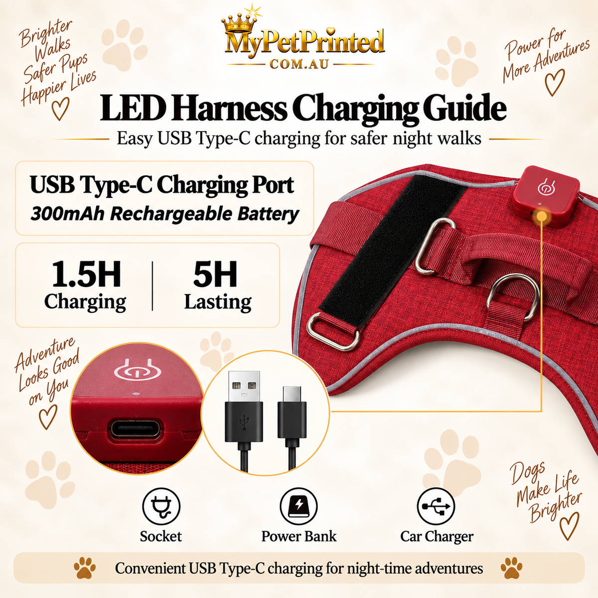 Personalised LED Light-Up Dog Harness (Pet Name & Phone)