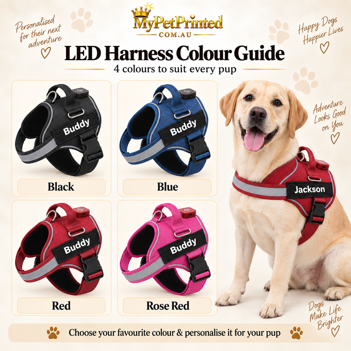 Personalised LED Light-Up Dog Harness (Pet Name & Phone)
