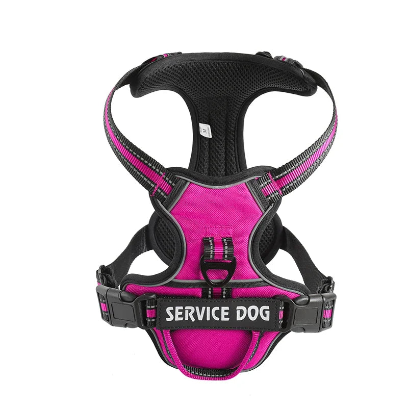 Personalised Reflective Nylon Harness (Pet Name & Number)
