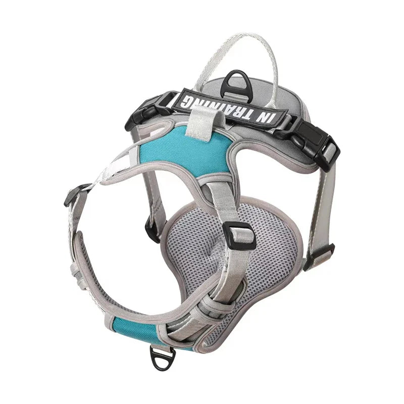 Personalised Reflective Nylon Harness (Pet Name & Number)
