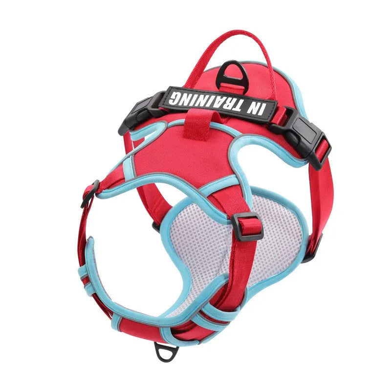 Personalised Reflective Nylon Harness (Pet Name & Number)