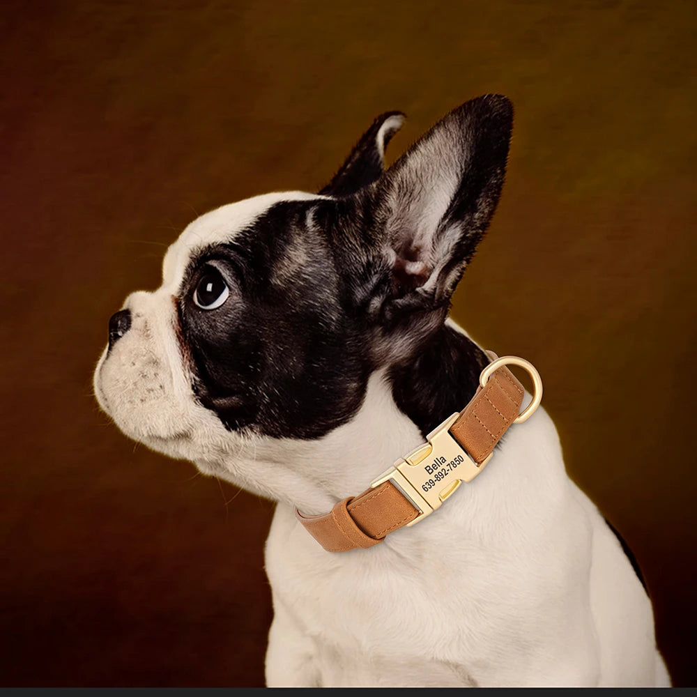 Personalised Premium Leather Pet Collar, Gold Clasp (Pet Name & Phone)