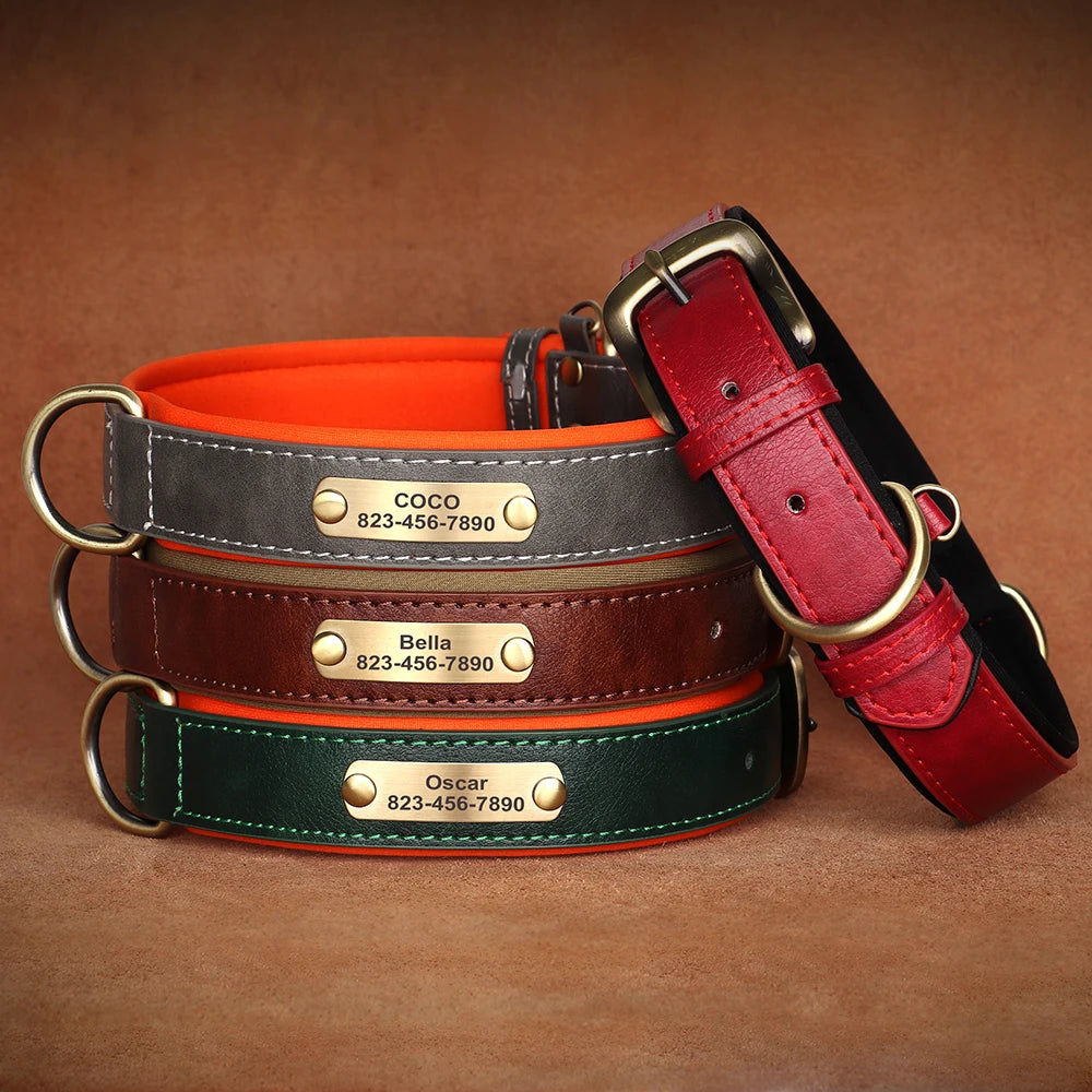 Personalised Premium Classic Leather Pet Collar (Pet Name & Phone)