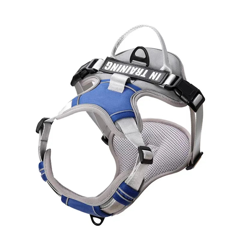 Personalised Reflective Nylon Harness (Pet Name & Number)