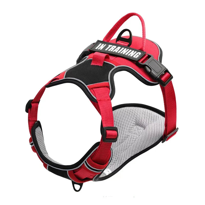 Personalised Reflective Nylon Harness (Pet Name & Number)