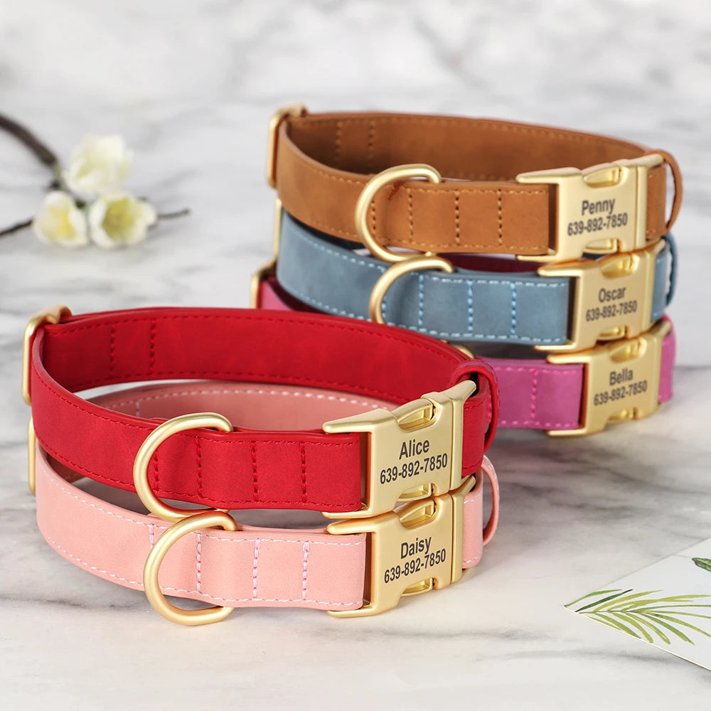 Personalised Premium Leather Pet Collar, Gold Clasp (Pet Name & Phone)