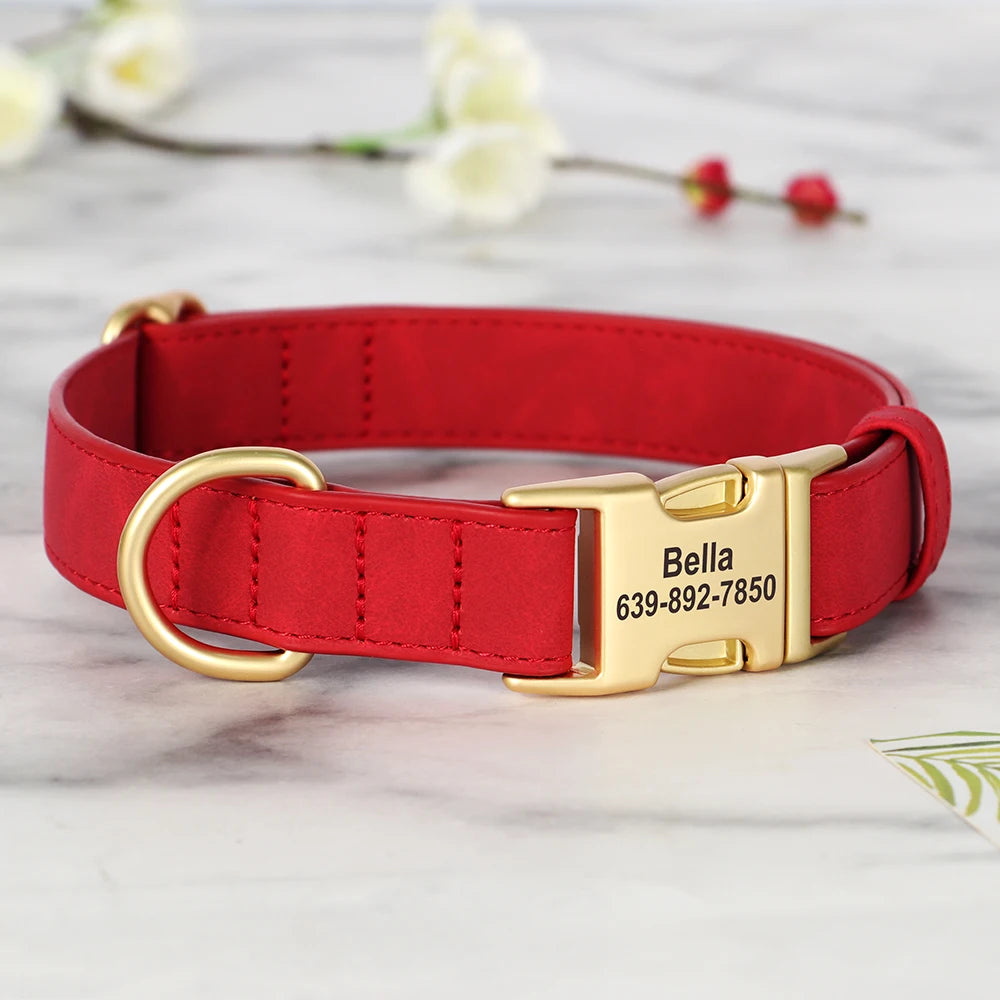 Personalised Premium Leather Pet Collar, Gold Clasp (Pet Name & Phone)