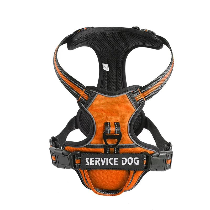 Personalised Reflective Nylon Harness (Pet Name & Number)