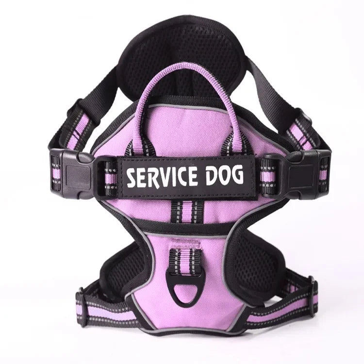Personalised Reflective Nylon Harness (Pet Name & Number)
