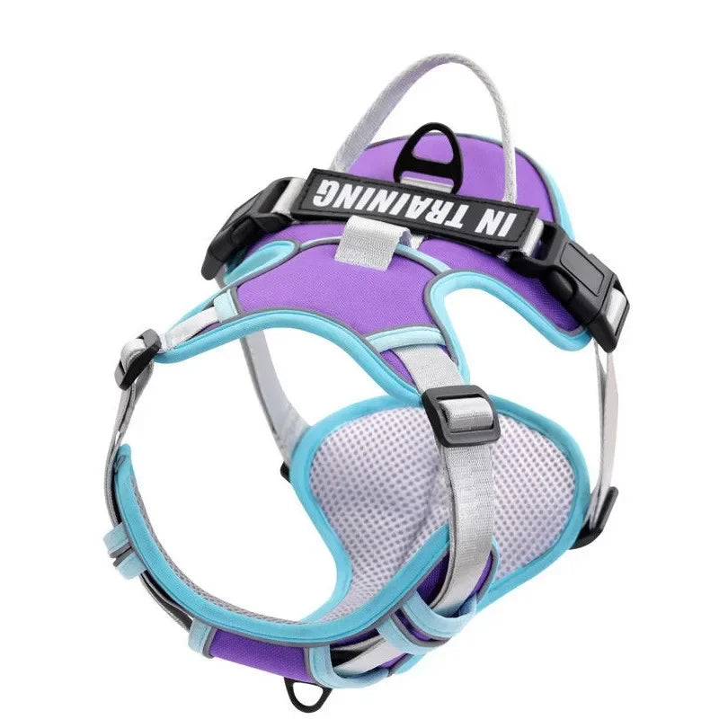 Personalised Reflective Nylon Harness (Pet Name & Number)