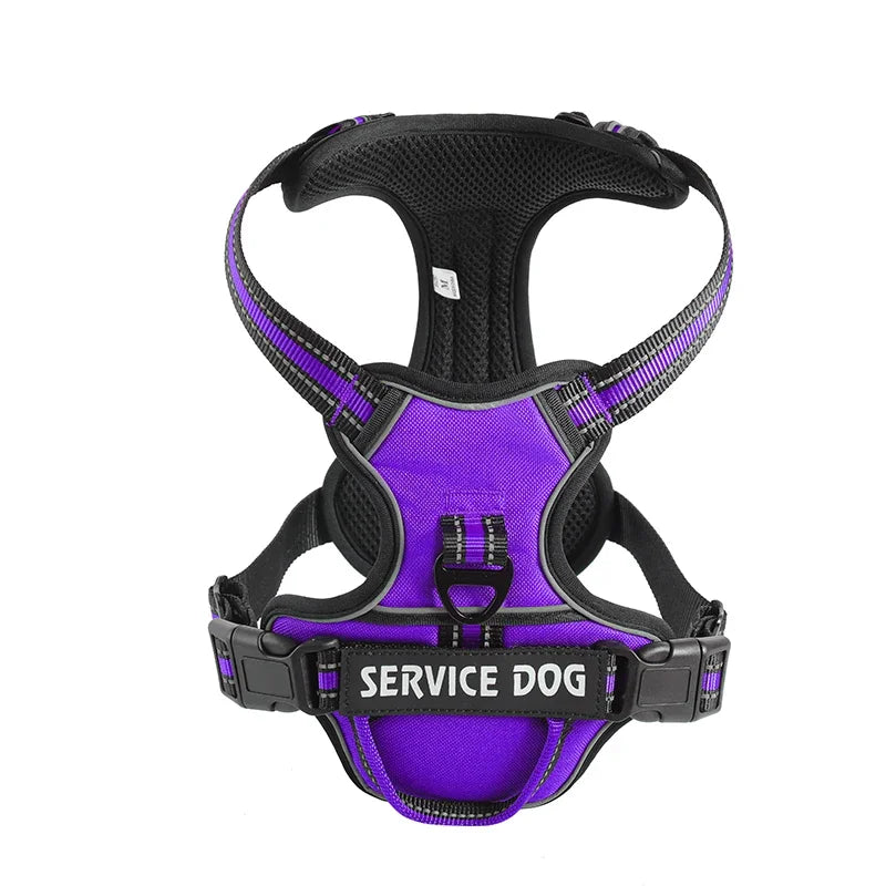Personalised Reflective Nylon Harness (Pet Name & Number)