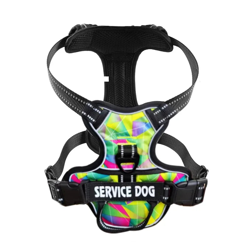 Personalised Reflective Nylon Harness (Pet Name & Number)