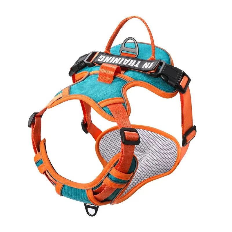 Personalised Reflective Nylon Harness (Pet Name & Number)