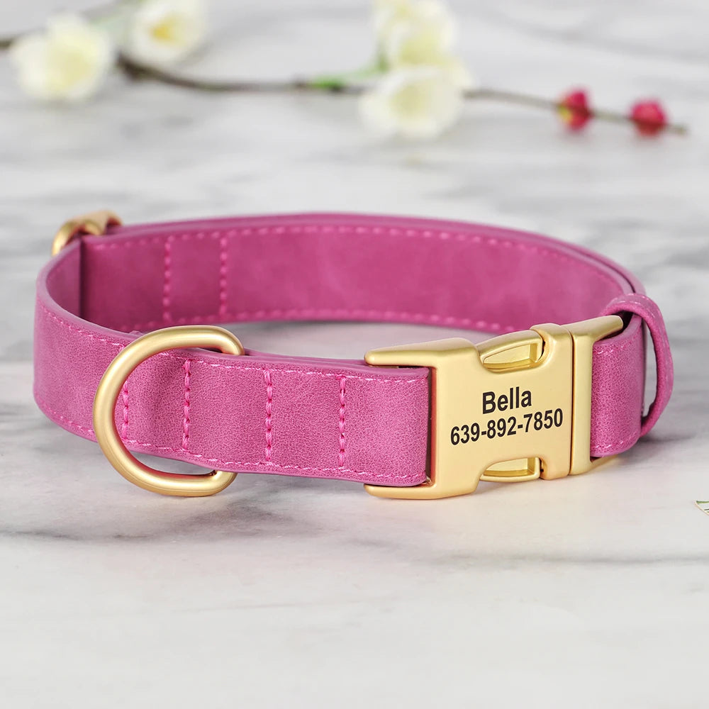 Personalised Premium Leather Pet Collar, Gold Clasp (Pet Name & Phone)