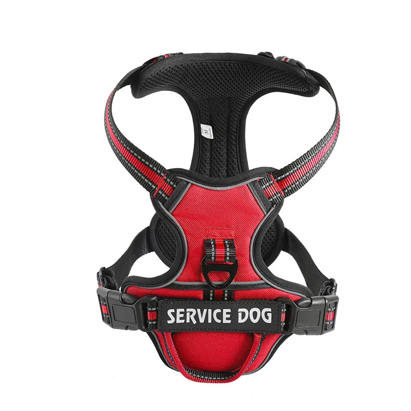 Personalised Reflective Nylon Harness (Pet Name & Number)