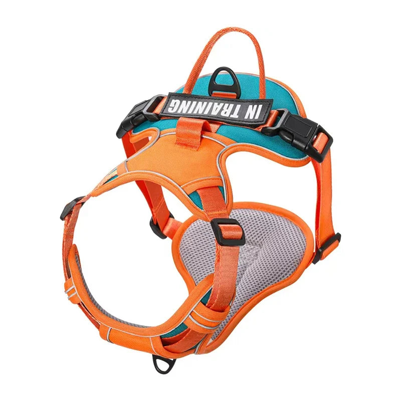 Personalised Reflective Nylon Harness (Pet Name & Number)