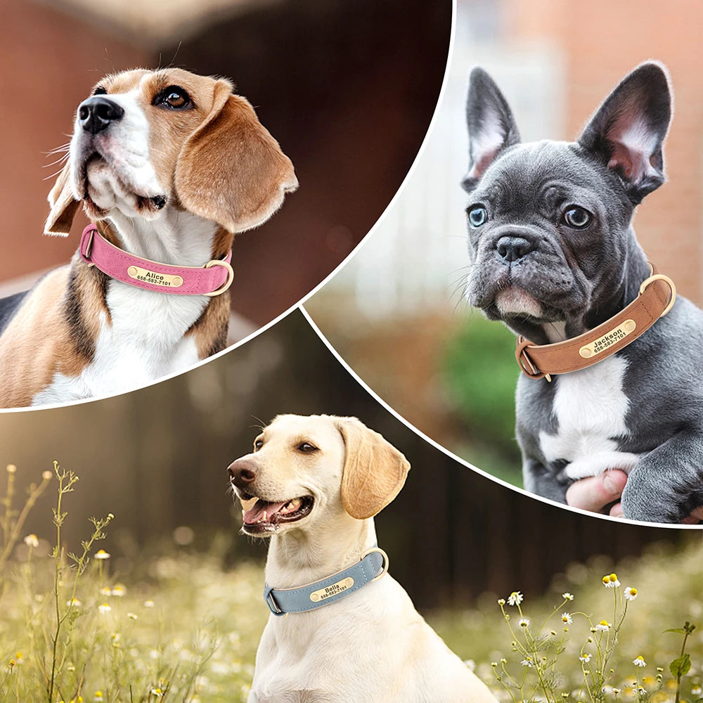 Personalised Premium Pastel Leather Pet Collar (Pet Name & Phone)