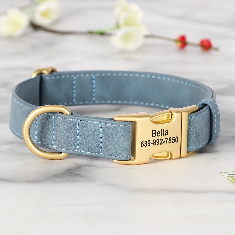 Personalised Premium Leather Pet Collar, Gold Clasp (Pet Name & Phone)