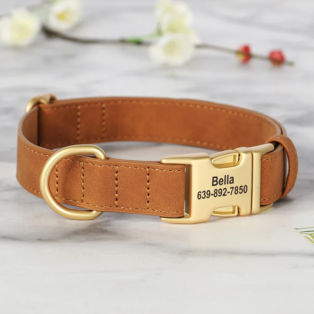Personalised Premium Leather Pet Collar, Gold Clasp (Pet Name & Phone)