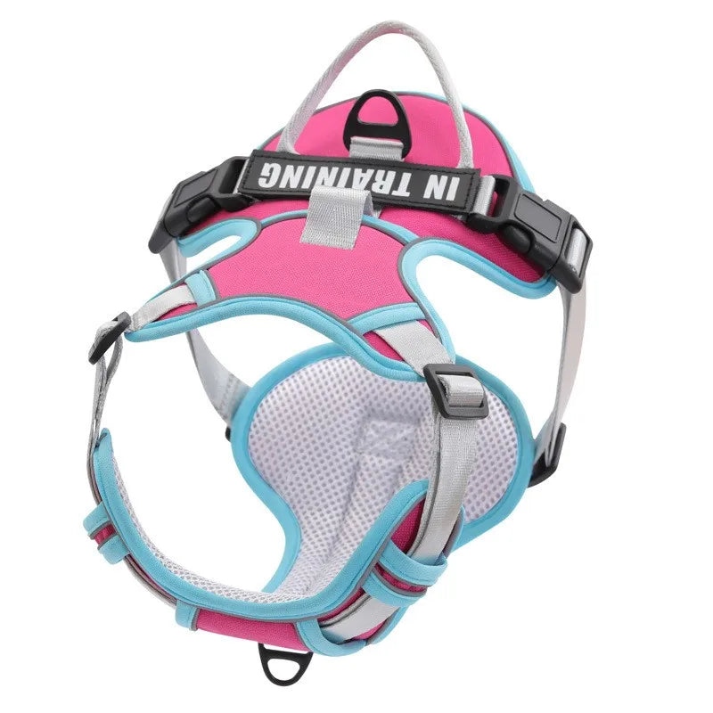 Personalised Reflective Nylon Harness (Pet Name & Number)