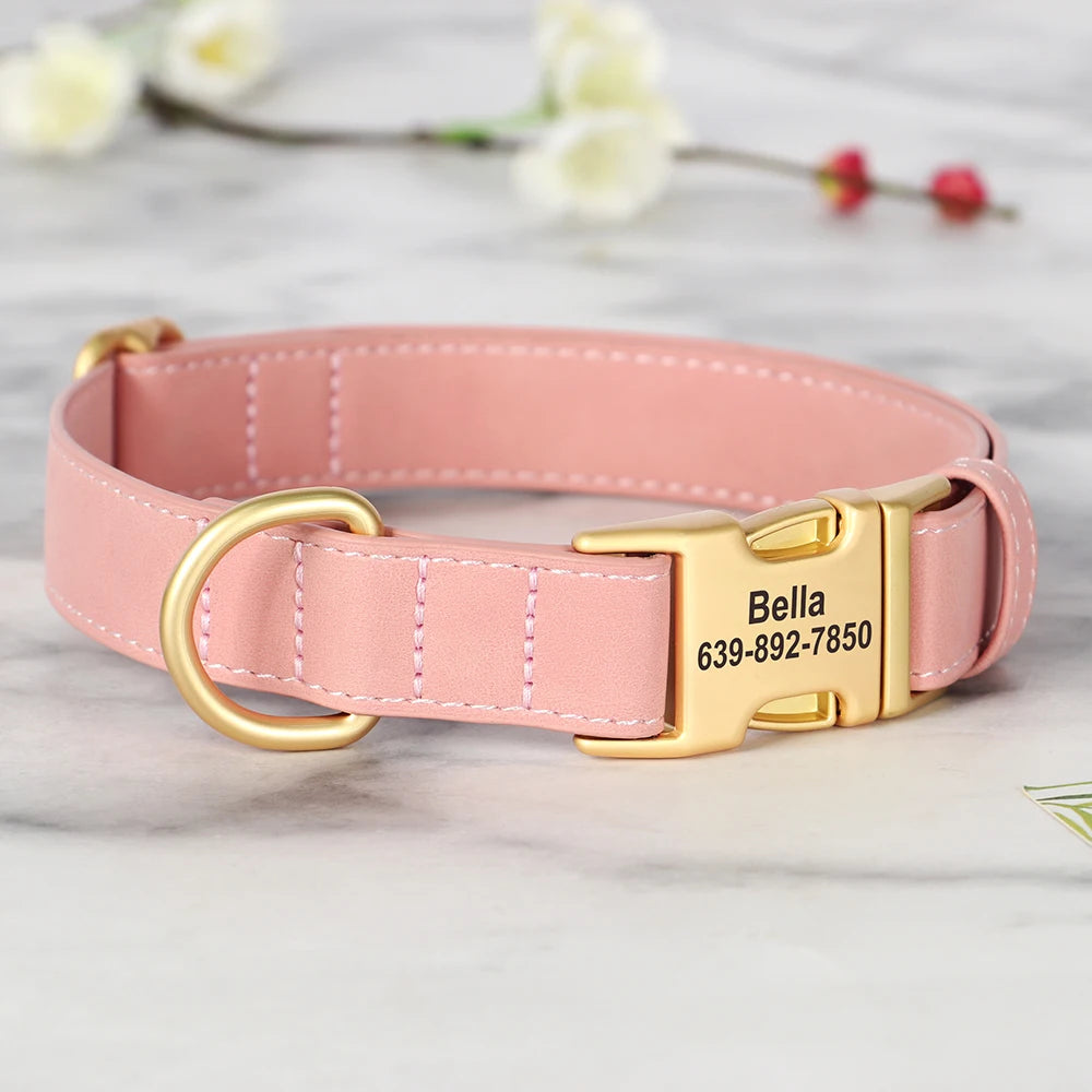 Personalised Premium Leather Pet Collar, Gold Clasp (Pet Name & Phone)