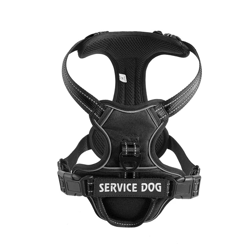 Personalised Reflective Nylon Harness (Pet Name & Number)