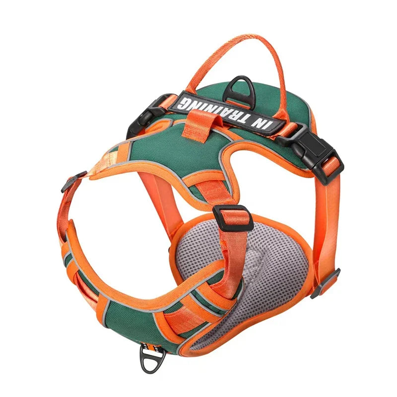 Personalised Reflective Nylon Harness (Pet Name & Number)