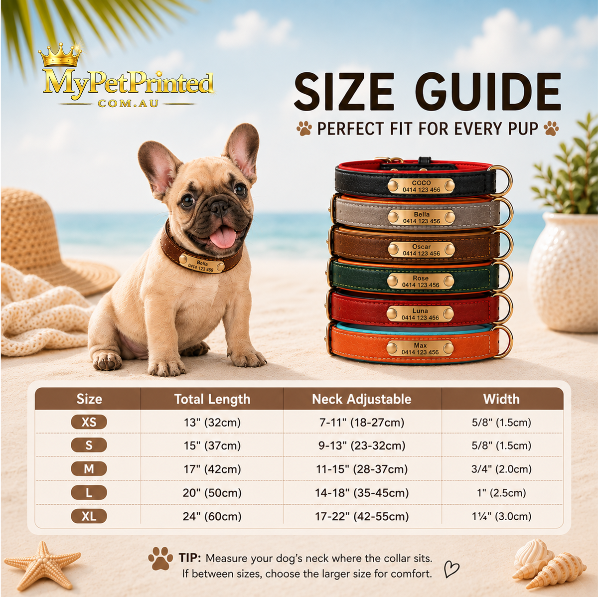 Personalised Premium Classic Leather Pet Collar (Pet Name & Phone)