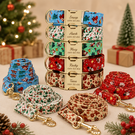 Personalised Christmas Dog Collar & Leash: Engraved Golden Buckle (Pets Name & Phone)